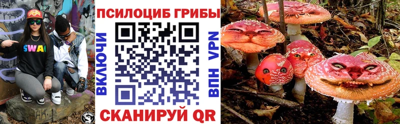 Галлюциногенные грибы Psilocybine cubensis  Нестеров 